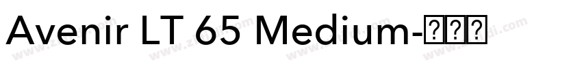 Avenir LT 65 Medium字体转换